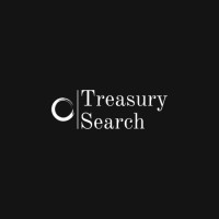Treasury Search logo - Similar company to Treasurer Search