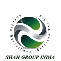 Shah Group India logo - Similar company to Euro Education