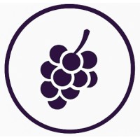 Mosto Digital logo - Similar company to Rawr Global