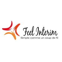 FEEL INTERIM logo - Similar company to Proconserv-It
