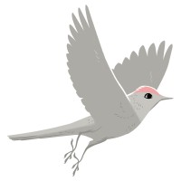 TAILORBIRD logo - Similar company to Tailorbird - Proptech For Capital Projects & Acquisitions
