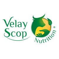 VELAY SCOP logo - Similar company to Cpme43
