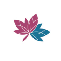 Kaman Kwok Inc. (now operates as Oasiss CPA Corp.) logo - Similar company to Phi Education