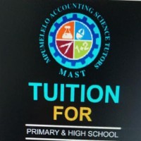 Mpumelelo Accounting and Science Tutors logo - Similar company to Root4Plant (Pty) Ltd