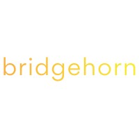 Bridgehorn logo - Similar company to Dataskate