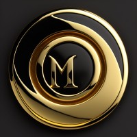 Mayur IT Solutions logo - Similar company to Ufurt Ai