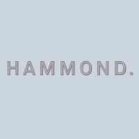 The Hammond Group LLC logo - Similar company to Off Site Project