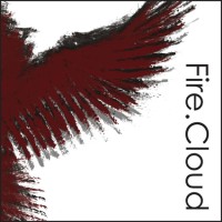 FireCloud logo - Similar company to Firecloud