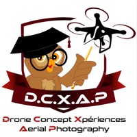 DCX-AP logo - Similar company to Oss E-Commerce