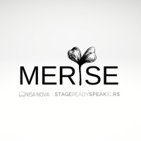 MeRise LLC logo - Similar company to Brainstorm