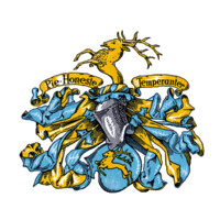 Tesdorpfs logo - Similar company to Afrocloud Technologies