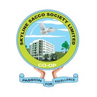 Skyline DT Sacco logo - Similar company to Talkcoms Limited