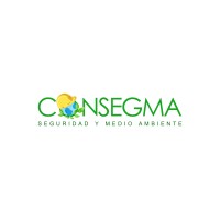 CONSEGMA (Perú) logo - Similar company to Framework Sas