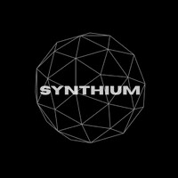 Synthium logo - Similar company to Margalla Systems Llc