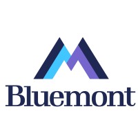 Bluemont Associates logo - Similar company to Igrabit, Inc