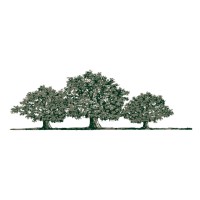 Woodlands Healthcare Center logo - Similar company to Revarts