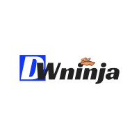 Digital Web Ninja logo - Similar company to Digital Slayers