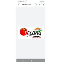 Recany logo - Similar company to Techskills Career Services