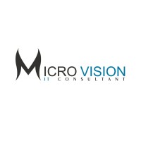 Micro Vision It Consultant