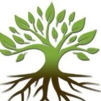 Northern Sheer Veneer logo - Similar company to Graphic Wood Technologies, Llc (A Subsidiary Of Ecofuel Group)