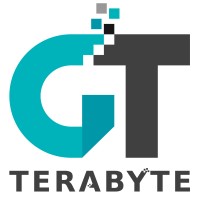 GT Terabyte logo - Similar company to Ctd Net