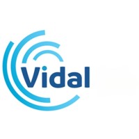Vidal Market Insights, Llc