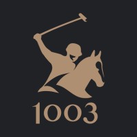 1003 POLO 马球 logo - Similar company to Airwheel
