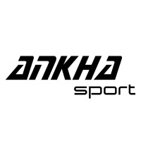 Ankha Sport Automotive logo - Similar company to Bondi Finance