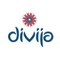 Divija Infotech logo - Similar company to Blue Tech