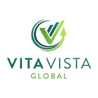 Vita Vista Global logo - Similar company to Fractional Pricing Advisors