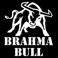 Brahma Bull Men's Grooming logo - Similar company to Akurath