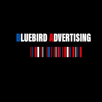 BlueBird Digital Agency logo - Similar company to Zerocom Agency
