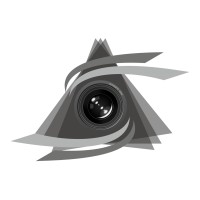 silhouetteIndia logo - Similar company to Trendingskills