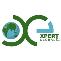 Xpert Global Tech logo - Similar company to Desflex