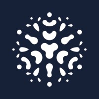 DigitalKin logo - Similar company to 4D-Virtualiz