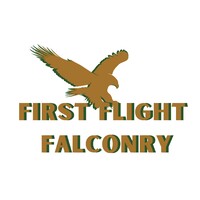 First Flight Falconry logo