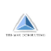 Tri-Mar Consulting, Inc logo - Similar company to Adf Consulting Llc