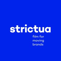 Strictua logo - Similar company to Stereo Design