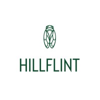 Hillflint logo - Similar company to Aina