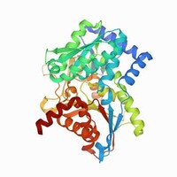 Enzyme Overflow logo - Similar company to Bio Basic Asia Pacific