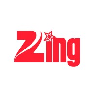 Zing Invest logo - Similar company to Zingpr