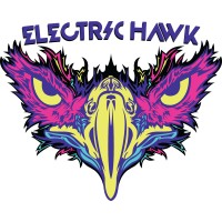 Electric Hawk logo - Similar company to Edm Identity