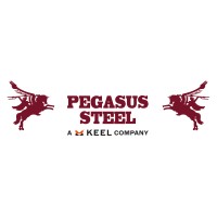 Pegasus Steel (Usa)