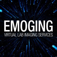 Emoging Virtual Imaging Service Lab logo - Similar company to Mintbox