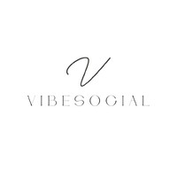 Vibesocial logo - Similar company to Nexus Insight