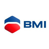 BMI - Bureau Méthodes Ingénierie logo - Similar company to Minimalist Systems