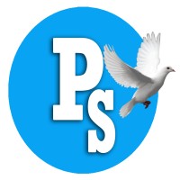 Peace Soft Technologies logo - Similar company to Csc