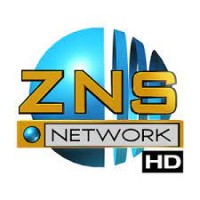 ZNS Bahamas logo - Similar company to 219 Sports
