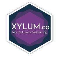 Xylum.co logo - Similar company to Mind Logic