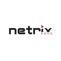 Netrix EDGE logo - Similar company to Netrix Link